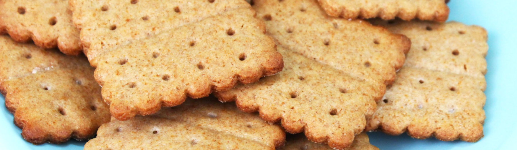 A bunch of graham cracker squares on a blue plate